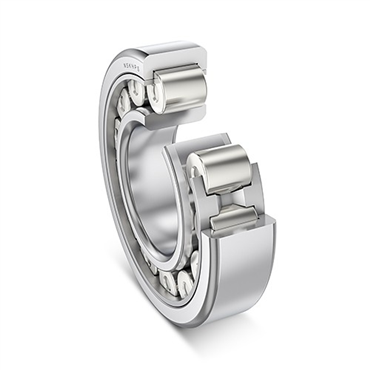 2200 Series Cylindrical Roller Bearing